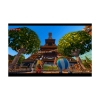 Picture of PS4 Asterix & Obelix XXL2