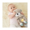 Picture of Fisher Price Rhythmic Breathing Motion - Soothe 'n Snuggle Otter (FXC66)