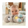 Picture of Fisher Price Rhythmic Breathing Motion - Soothe 'n Snuggle Otter (FXC66)