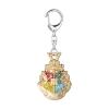 Picture of P.M.I. Harry Potter Metal Premium Keychains Collection - 6 Pack Deluxe Box (Random) (HP8550)