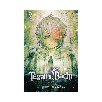 Picture of Viz Tegami Bachi GN Vol. 19 Paperback Manga