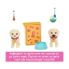 Picture of Mattel Barbie: Pup Adoption Playset (HKD86)