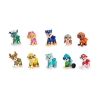 Picture of Spin Master Paw Patrol: All Paws Gift Set (6065255)