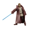 Picture of Hasbro Fans - Star Wars The Vintage Collection: Obi-Wan Kenobi - Obi-Wan Kenobi (Wandering Jedi) Action Figure (Excl.) (F4474)