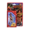 Picture of Hasbro Fans - Dungeons & Dragons Retro Collection: Diana Action Figure (15cm) (Excl.) (F4883)