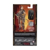 Picture of Hasbro Fans - Dungeons & Dragons Honor Among Thieves: Golden Archive Action Figure - Edgin (F4865)