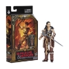 Picture of Hasbro Fans - Dungeons & Dragons Honor Among Thieves: Golden Archive Action Figure - Holga (F4866)