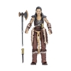 Picture of Hasbro Fans - Dungeons & Dragons Honor Among Thieves: Golden Archive Action Figure - Holga (F4866)