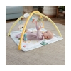 Picture of Fisher-Price® Simply Senses Newborn Gym (HRB15)