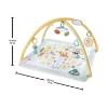 Picture of Fisher-Price® Simply Senses Newborn Gym (HRB15)