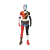 Picture of Spin Master DC Batman - Harley Quinn Action Figure (30cm) (6069101)