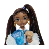 Picture of Mattel Barbie: Dream Besties - Barbie Brooklyn (HYC22)