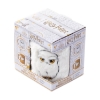Picture of Pyramid Harry Potter - Hedwig Fuzzy Mug (FZMG2401037)