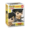 Picture of Funko Pop! Animation: Ranma 1/2 - Ryoga #2029 Vinyl Figure