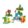 Picture of LEGO® DUPLO® Town:  3in1 Wild Animal Families (10446)