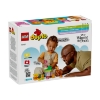 Picture of LEGO® Duplo Disney™: Winnie The Pooh's Birthday Party (10457)