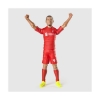 Picture of Banbo Toys: Liverpool Soccer - Virgil Van Dijk Action Figure (20cm) (83538)