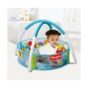 Picture of Fisher-Price: Baby Ball Pit 25pcs Ocean Ball Inside (F0319R)