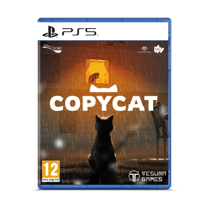 Picture of PS5 Copycat