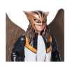 Picture of Spin Master DC Superman Movie: Hawkgirl - Action Figure 12" (20152165)