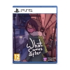 Picture of PS5 What Comes After
