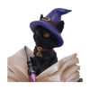 Picture of Nemesis Now Adult: Gothic - Binx Figure (11cm)