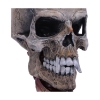 Picture of Nemesis Now: Metallica - Pushead Skull Figure(23.5cm)