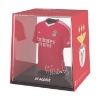 Picture of FanCollex: MyJersey - Benfica Home 2024/25 -  Di Maria (01MY00022)