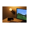 Picture of Paladone: Minecraft - Torch Light (PP9202MCFV3)