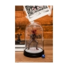 Picture of Paladone: Stranger Things 5 - Demogorgon Collectable Light (PP14762ST)