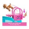 Picture of Mattel Barbie: Dream Pool Playset (JFP01)