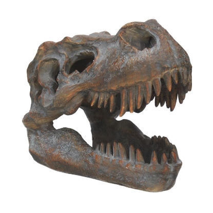 Picture of Nemesis Now: Tyrannosaurus - Rex Skull Freestanding (16cm) (D1245D5)