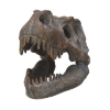 Picture of Nemesis Now: Tyrannosaurus - Rex Skull Freestanding (16cm) (D1245D5)