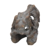 Picture of Nemesis Now: Tyrannosaurus - Rex Skull Freestanding (16cm) (D1245D5)