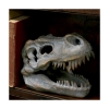 Picture of Nemesis Now: Tyrannosaurus - Rex Skull Freestanding (16cm) (D1245D5)